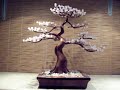 Bonsai Tree Sculpture #2 by Jim Shull