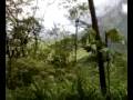 videos de PASSEIO TREM 2