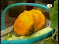 raw courgette salad / ensalada calabacines crudos