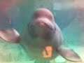 L�Oceanographic, Valencia