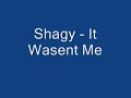 Shagy - It Wasent Me