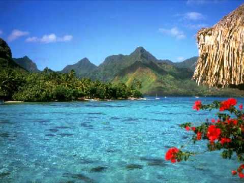 신학과 신앙서적 독서의 위험성과 폐해 (손정훈 목사)