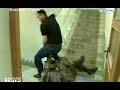 Хапкидо /  합기도  / hapkido