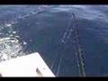 Fishing in Costa Rica: Part One