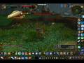 videos de yay pvp