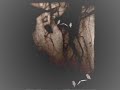Hook Line & Sinker - Everlea