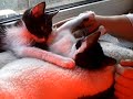 bonnie & clyde