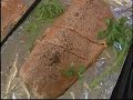 Wild Alaska Salmon