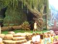 videos de MVI 1921