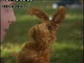 this is a video that was shown at the wrap of the fox greg the bunny series. some things you've seen and some you haven't, such as when greg's mouth broke...