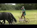 The Charioteer