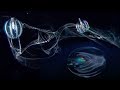 Weird creatures feed on plankton - Blue Planet - BBC