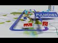 Click here to watch this video Madrid 2020 - Olympic Games - Candidate City