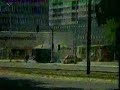 lepi mica  krava svadba