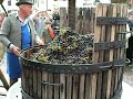 LetzteTraubenfuhre 2008 Girlan(1)