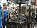 LetzteTraubenfuhre 2008 Girlan(1)