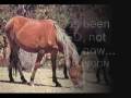 Save The Brumbies