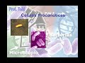Biologia: Procariontes - Parte 01 (Prof. Toid)
