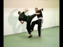 kung fu dragon