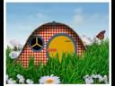 Animatie qb