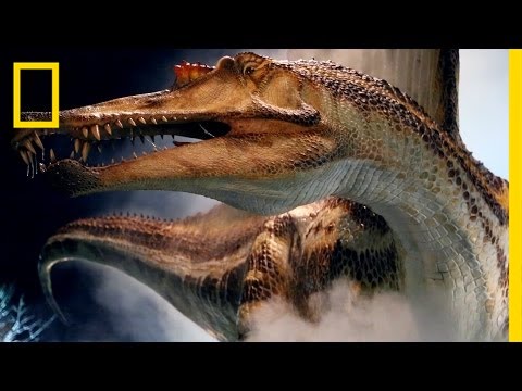 Spinosaurus