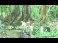 Tiger Muay Thai ventures to Khaolak & Phang Nga