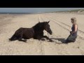 Dion lies down on signal on the beach