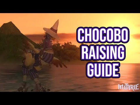 how to train your chocobo ffxiv