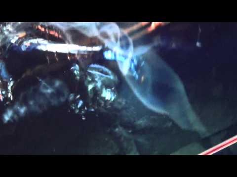 Immagine anteprima YouTube