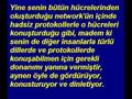 Ateizm Ateist Dinsizlik Bilgisayar