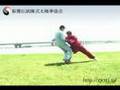 陳式太極拳・推手実演