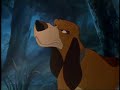 Copper - Animal I Have Become