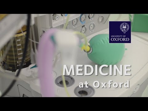 oxford - Want to know more about studying at Oxford University? Watch this short film to hear tutors and students talk about this undergraduate degree. For more infor...