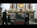 Flauto dolce-Sammartini-Sonata VI in RE minore (allegro) Flauto dolce-Sammartini-Sonata VI in RE minore (allegro)