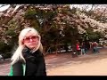 hanami girl (cherry blossoms in tokyo)