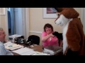 Ferdinand's Adventures: DuPage PADS