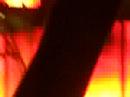 NEW SONG by Jonas Brothers LIVE!
