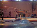 gym 2008