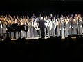 Flight of the bumblebee OBHS