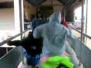 soulja-boys-in-greece.html
