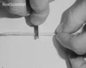 Self-Healing Rubber