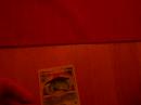 My New Rare cards in my Collection