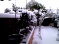 Schnee am Niederrhein - 24.12.2010