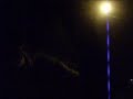 New Years Gone Wild (EPISODE 7TH) New Years Gone Wild (EPISODE 7TH)