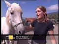 Indianisches Reiten mit GaWaNi Pony Boy und Markus Eschbach