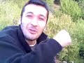 simav domuz avi simav domuz avi