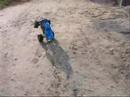 wheelie king 4x4 bashing