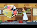 Diddle Diddle - English Cartoon Nursery Rhymes
