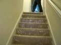videos de Habitat home dedicated