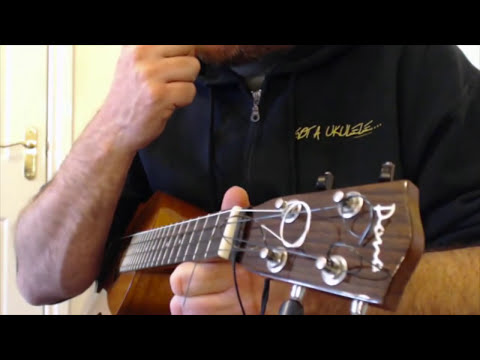 how to adjust ukulele action